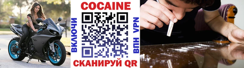 Cocaine FishScale  купить закладку  Мурино 