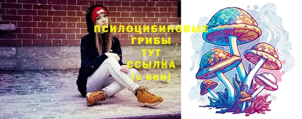 метамфетамин Богданович