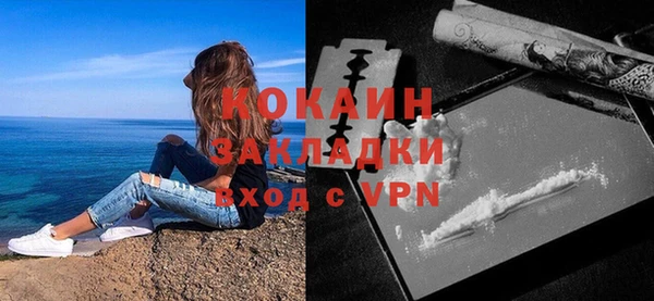 кокс Богородицк