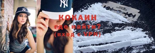 кокс Богородицк